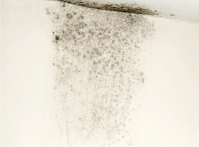 보성 주택 아파트 공장 결로검사 결로공사 시공업체